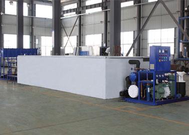 India Machine à glace en blocs with Ice Crusher and Delivery System — vue technique 1